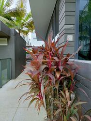 Sunrise Terrace (D28), Terrace #459838661